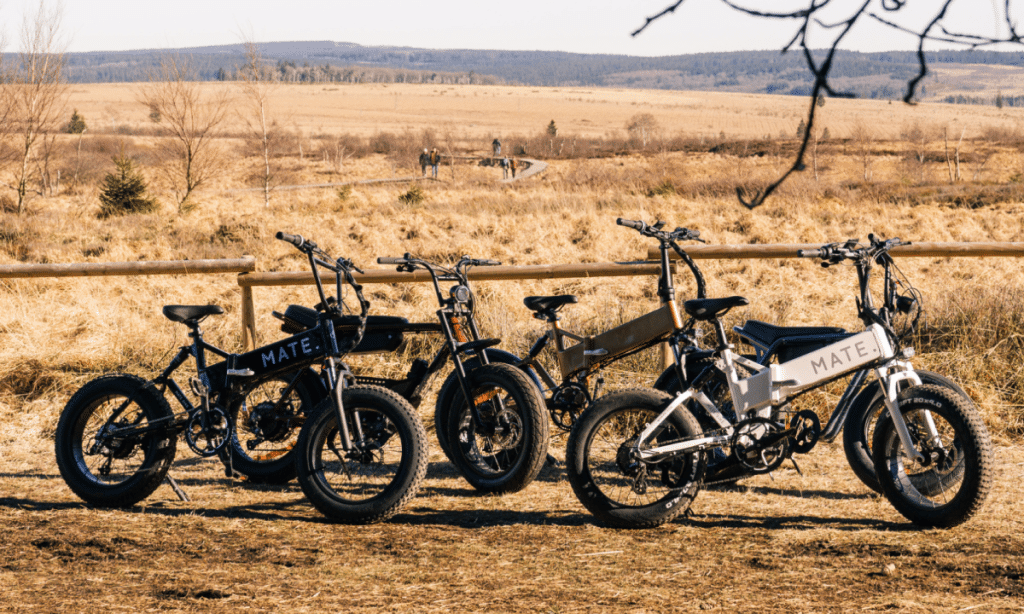 Profibike: Leading the Charge in Sustainable Cycling with Electric Bikes and Fatbikes